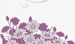 花丛的漫画,漫画里的浪漫故事